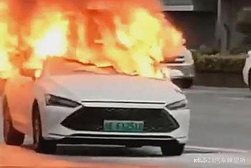 比亚迪海豚爆料视频最新,时尚智能小车，性能与颜值并重  第3张